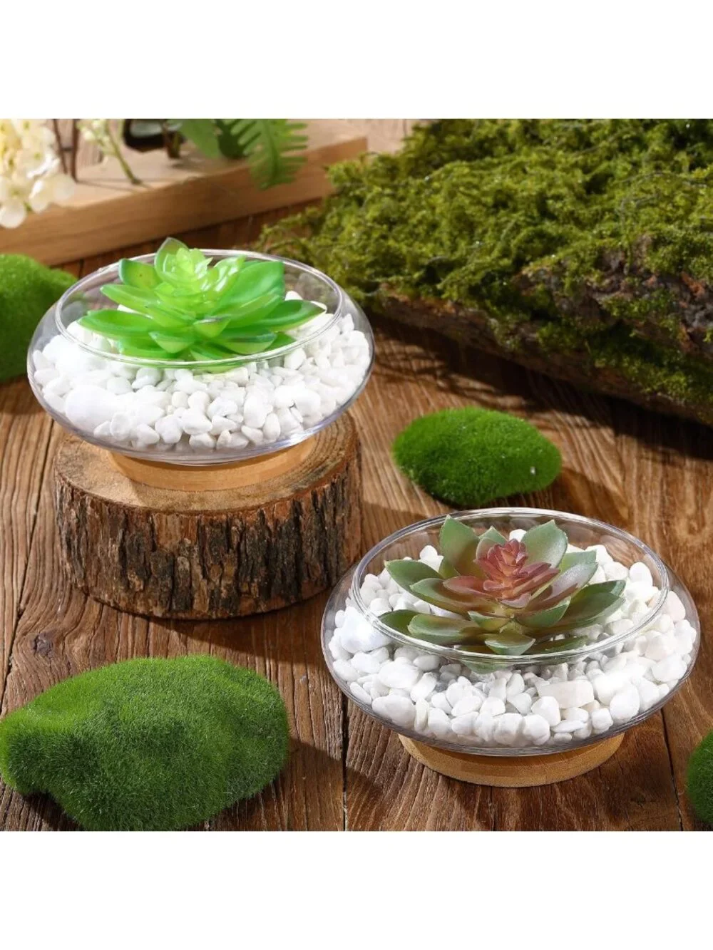 Set of 2 Round Glass Planter Bowls with Tray - Hydroponic Flower Vases for Home